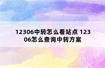 12306中转怎么看站点 12306怎么查询中转方案